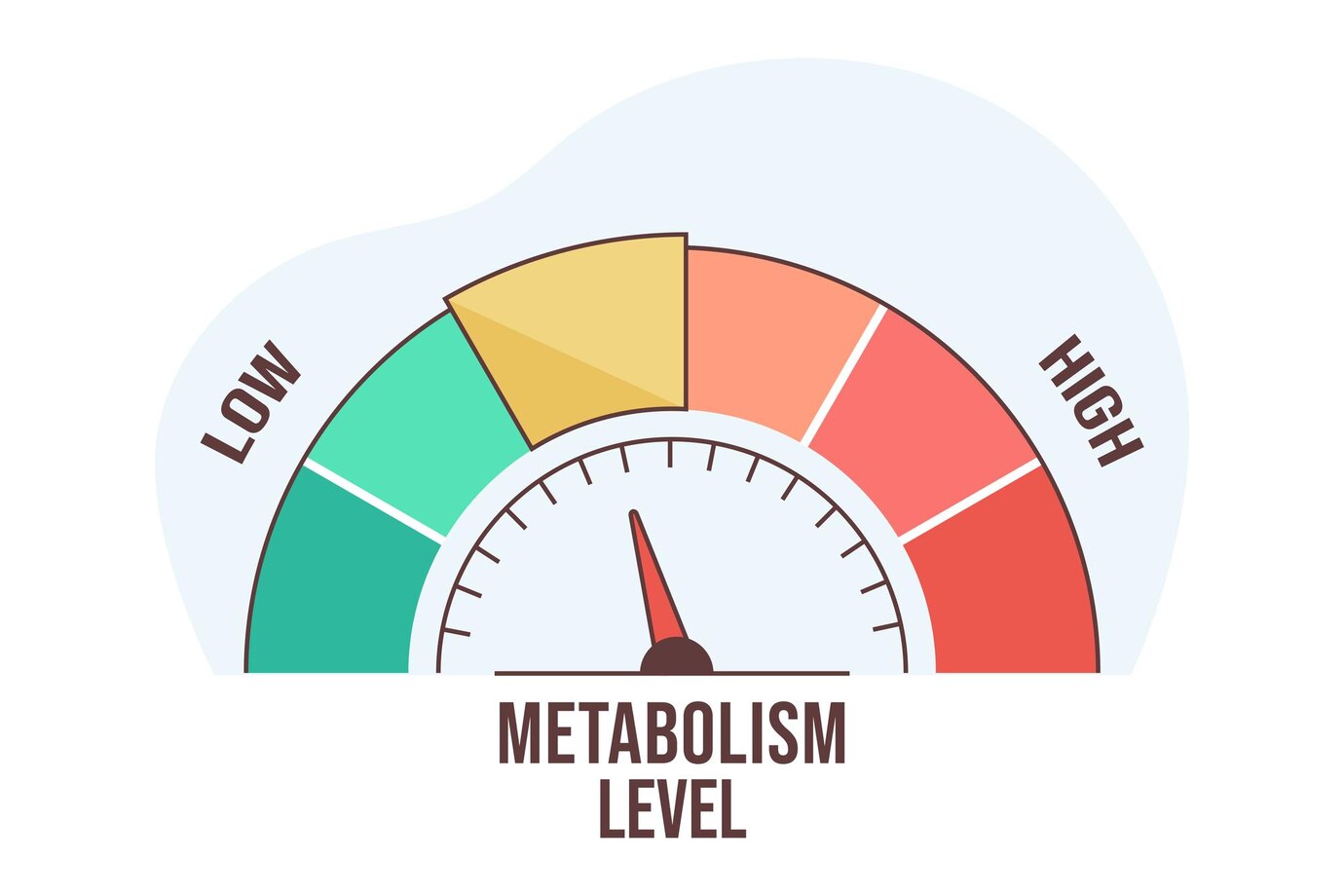 10 Truques para Aumentar o Metabolismo em Casa