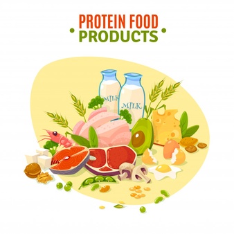 Alimentos a incluir e excluir na dieta da proteína